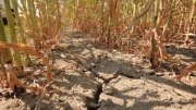 Non cessa l'allarme siccita&rsquo;: Agosto caldo record con + 7,2 gradi.
