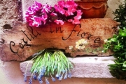 Camerino, Cortili in fiore diventa #bachecheinfiore