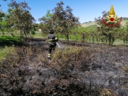 Vasto incendio di sterpaglie, in fiamme un'area di 10000 metri quadrati