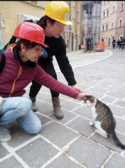 Solidariet&agrave; per gli amici a 4 zampe e non solo. Il cuore grande degli "Angeli della Bassa"