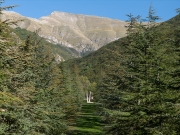 Caccamo e Ussita ultime tappe di "Territori forti e fluidi" nel fine settimana