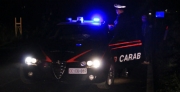 Ladri a caccia di cibo