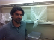 Docente Unicam vice direttore dell'Italian Malaria network