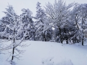 Neve sull'entroterra, disagi e strade chiuse