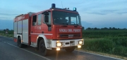 Vento forte e rami caduti. Al lavoro i vigili del fuoco