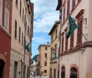 Camerino. Tre mosse per ripartire: musica, natura e cultura