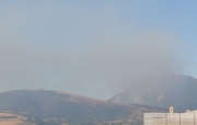 Camerino, vasto incendio di area boschiva a Morro