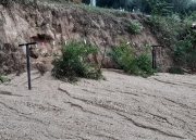 Frane e smottamenti, alberi caduti nel territorio settempedano