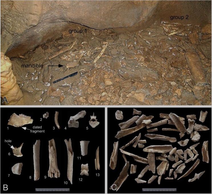 Geologi Unicam a Frasassi: grotta frequentata dall’uomo 16.300 anni fa