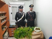 Matelica,in manette 39enne trovato con un chilo di marijuana