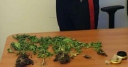 Cingoli- sedicenne denunciato per detenzione di stupefacenti