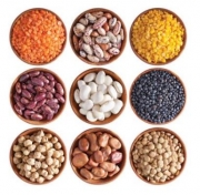 &ldquo;Semina il futuro con gusto&rdquo;  A Camerino la seconda edizione di MAN