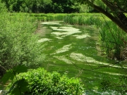 Il fiume Nera un bene vitale per le comunit&agrave; dei Sibillini.