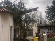 Gagliole, luned&igrave; la rimozione del pino caduto su tre cappelline
