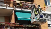 Rimane impigliato nella ringhiera del balcone. Piccolo Yorkshire salvato dai vigili del fuoco