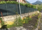 Camerino, segnalate erbacce e degrado marciapiedi a San Paolo.