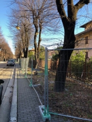 Viale Matteotti, iniziati i lavori. Il sindaco: &ldquo;Ci siamo sostituiti ai privati&rdquo;