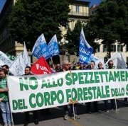 Terzoni (M5S): "La Regione non pu&ograve; fare a meno della sua forestale"