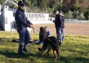 Ancora controlli antidroga. Sequestri a Fontescodella
