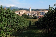 TIRRENO-ADRIATICO, IL CICLISMO ABBRACCIA LE TERRE DEL VERDICCHIO