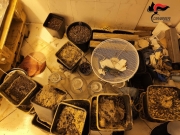 Droga, nei guai un 28enne